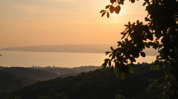 Discover top-notch healthcare options in Turkey for less