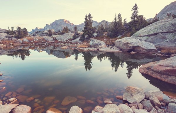 How to Create a Space-Efficient Vertical Bike Storage in a Small Flat?