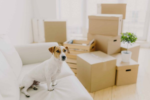 What Are the Most Comfortable Yet Stylish Flats for Standing All Day in Retail?